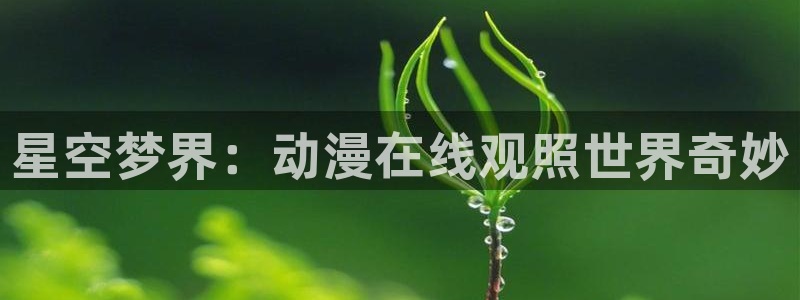 age动漫网官网入口