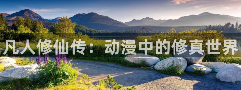 age动漫网页