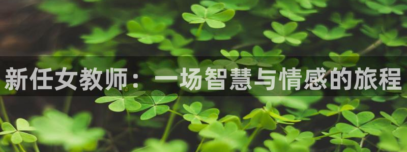 age动漫入口