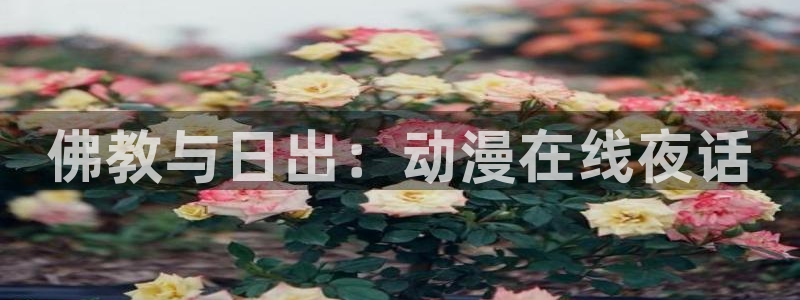 在线动画动漫下载age动漫