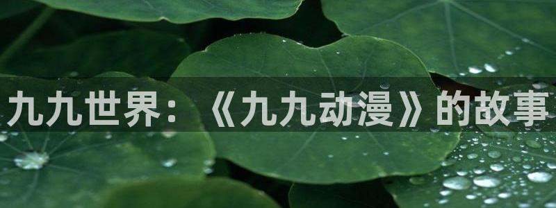 age动漫网