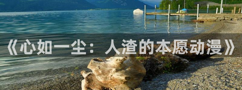 age动漫官网免费在线动漫入口