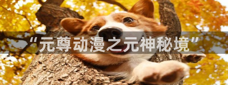 age动漫官网在线入口